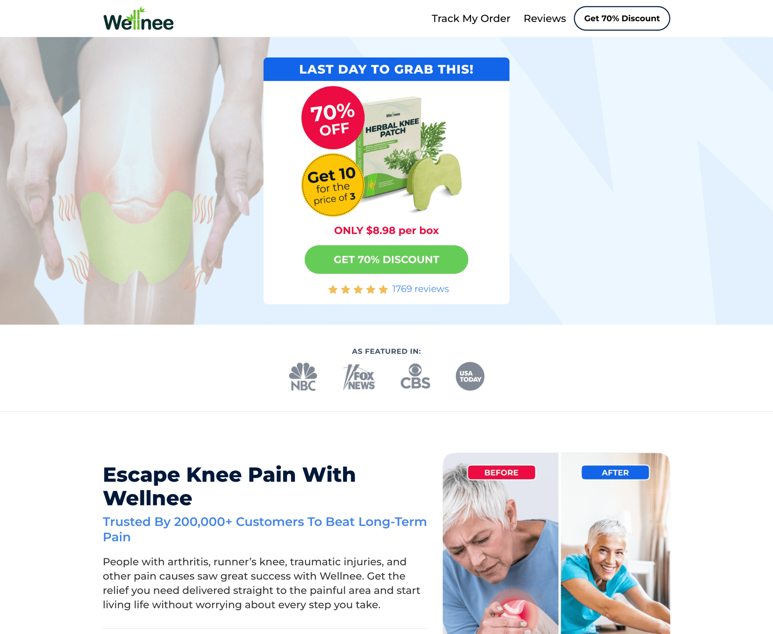 Wellnee Pain Relief Patches